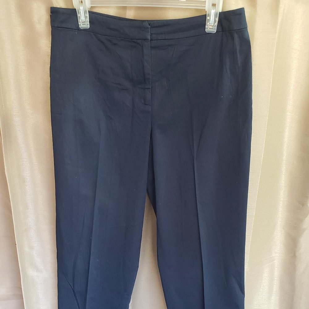 Ann Taylor  Loft Stretch Women's Pants